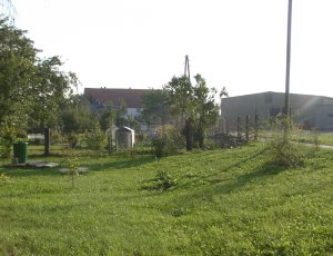 Standort Gewächshaus